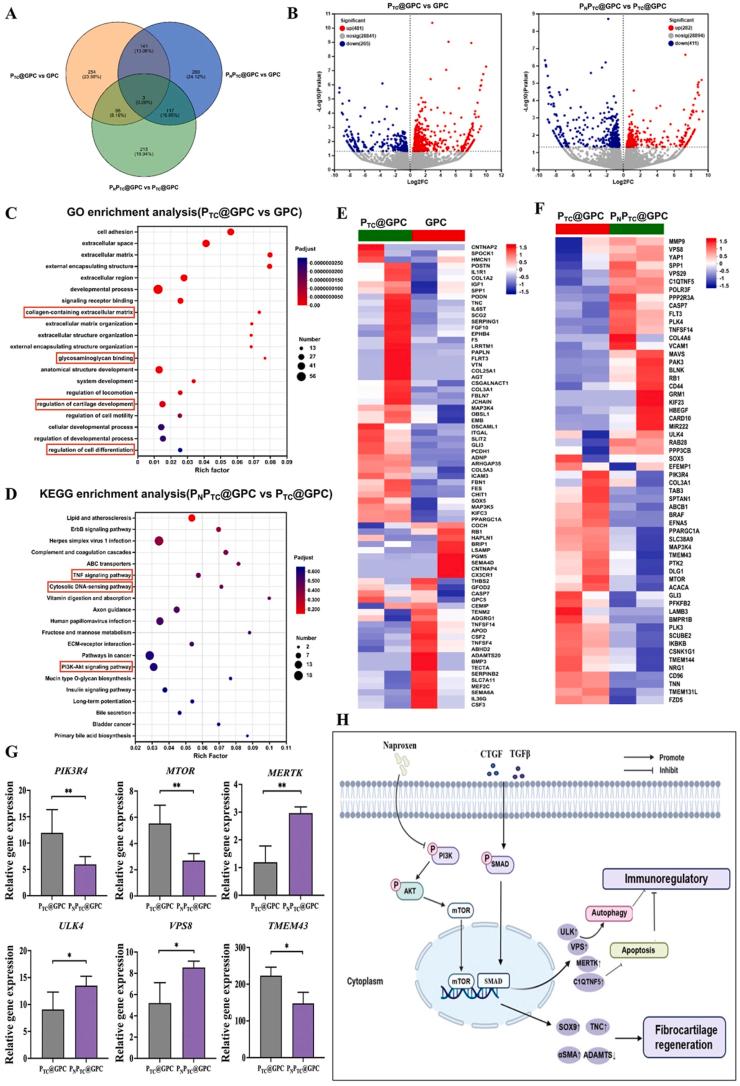 https://cdn.ncbi.nlm.nih.gov/pmc/blobs/972a/11998115/a6a1692de888/gr6.jpg