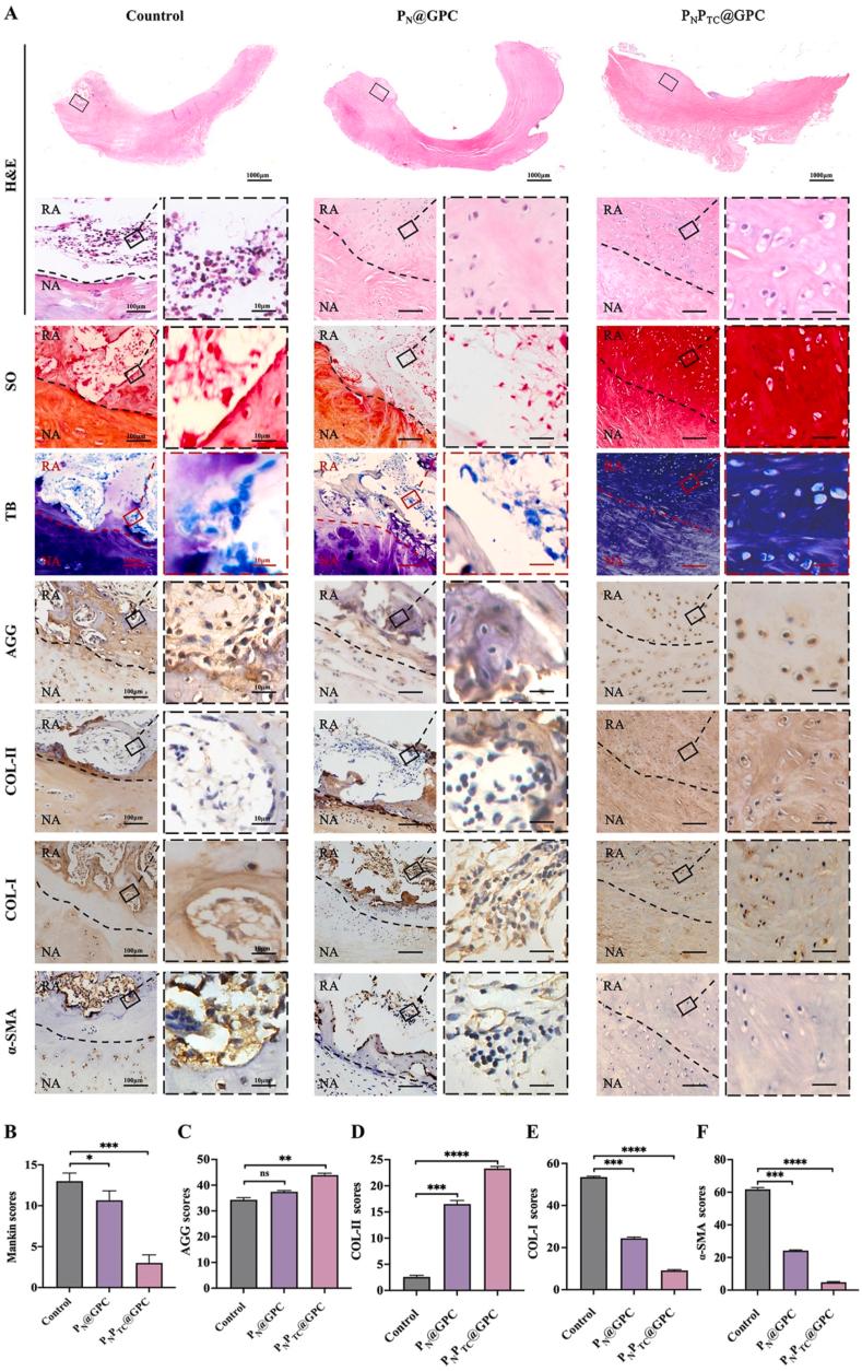 https://cdn.ncbi.nlm.nih.gov/pmc/blobs/972a/11998115/dec23cc5b7c6/gr8.jpg