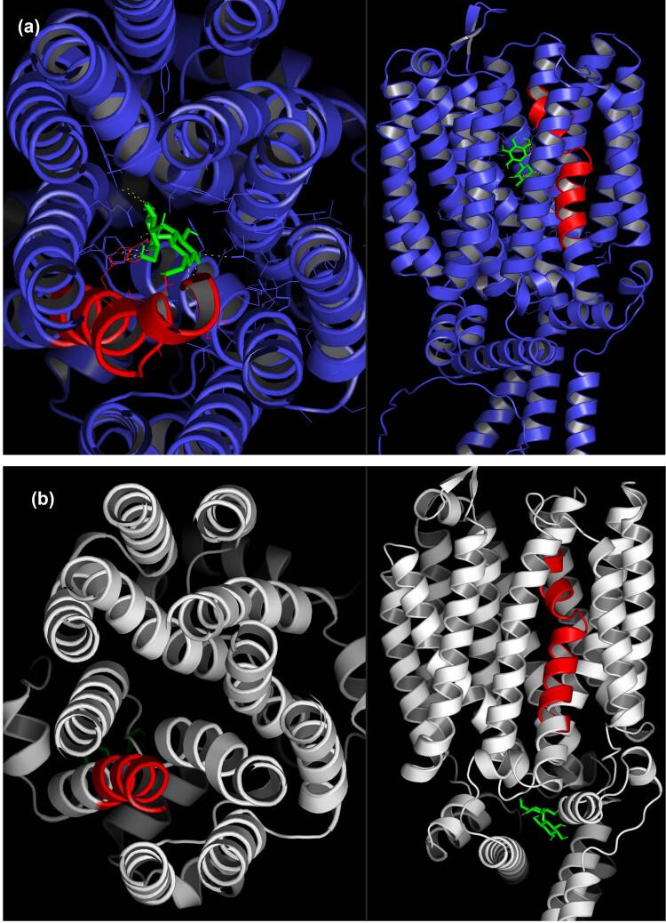 https://cdn.ncbi.nlm.nih.gov/pmc/blobs/972a/12032978/0831d6eed698/j_biol-2025-1080-fig005.jpg