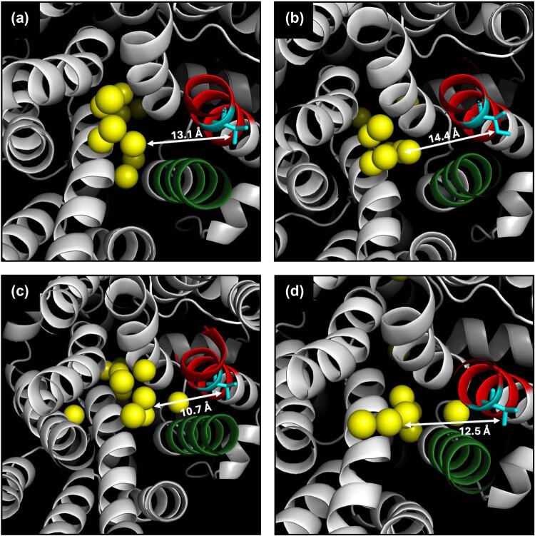 https://cdn.ncbi.nlm.nih.gov/pmc/blobs/972a/12032978/299d2b178208/j_biol-2025-1080-fig004.jpg