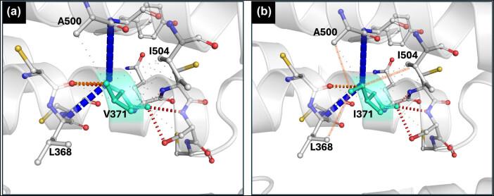 https://cdn.ncbi.nlm.nih.gov/pmc/blobs/972a/12032978/692d09694e4a/j_biol-2025-1080-fig007.jpg