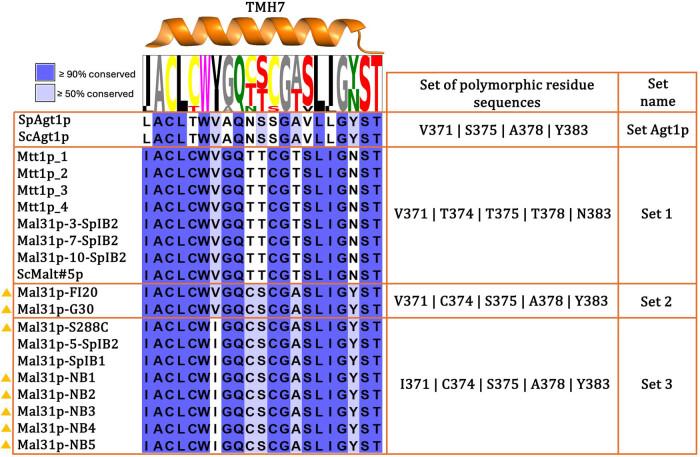 https://cdn.ncbi.nlm.nih.gov/pmc/blobs/972a/12032978/9a2d35b57c0a/j_biol-2025-1080-fig003.jpg