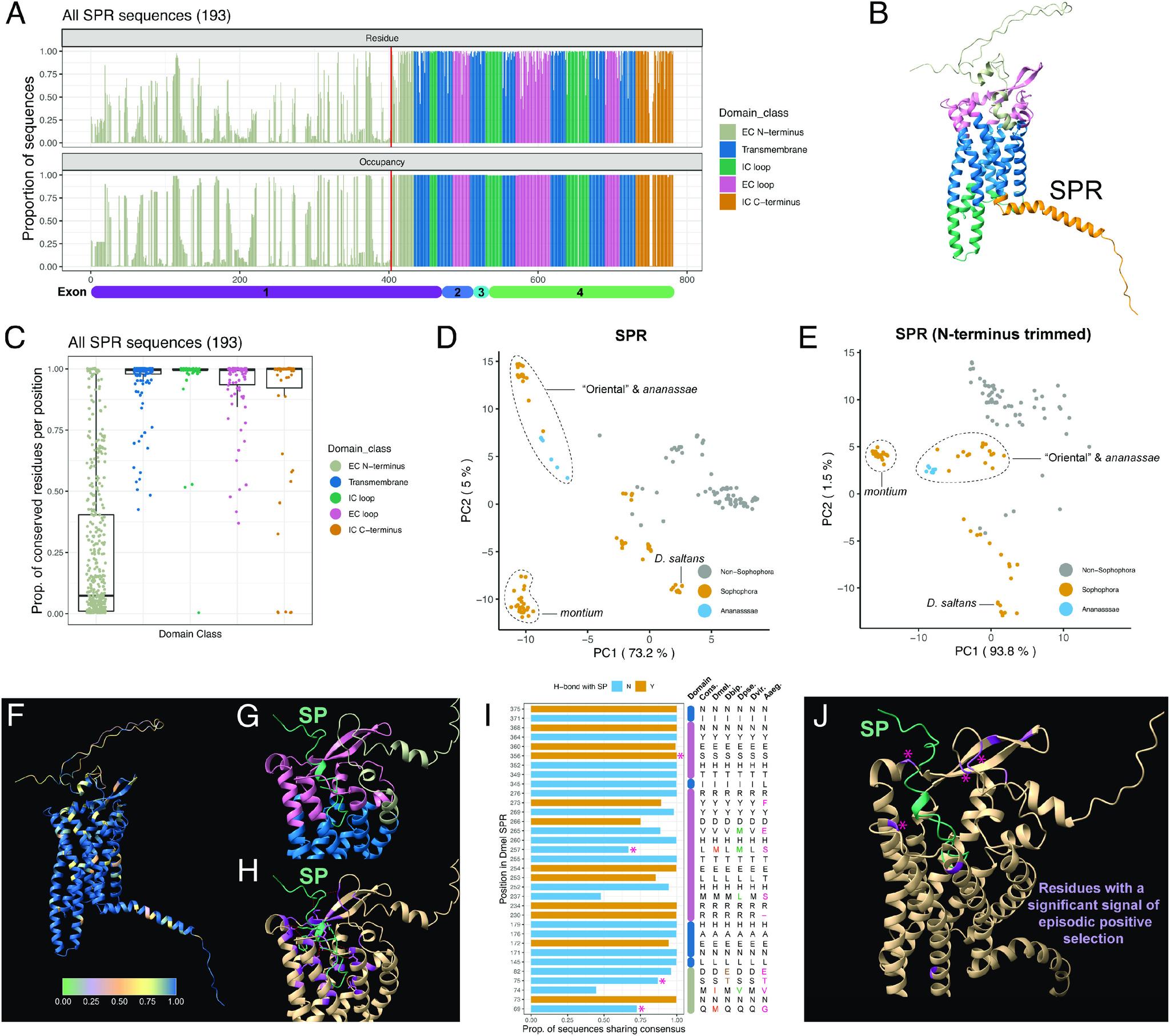 https://cdn.ncbi.nlm.nih.gov/pmc/blobs/972b/10801855/15e5570d352d/pnas.2312380120fig06.jpg