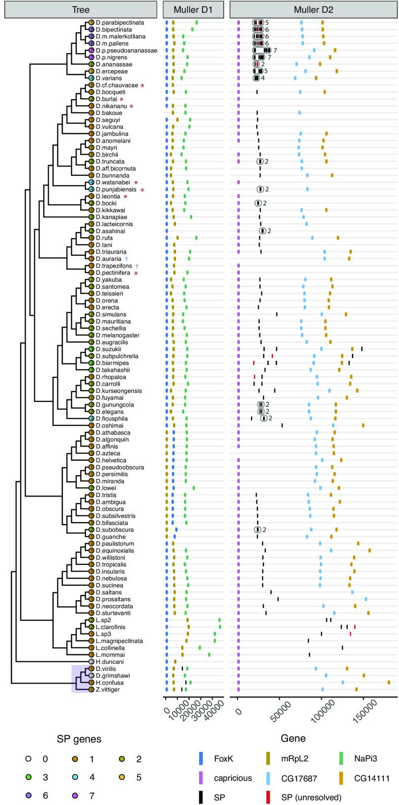https://cdn.ncbi.nlm.nih.gov/pmc/blobs/972b/10801855/61ad15371136/pnas.2312380120fig03.jpg