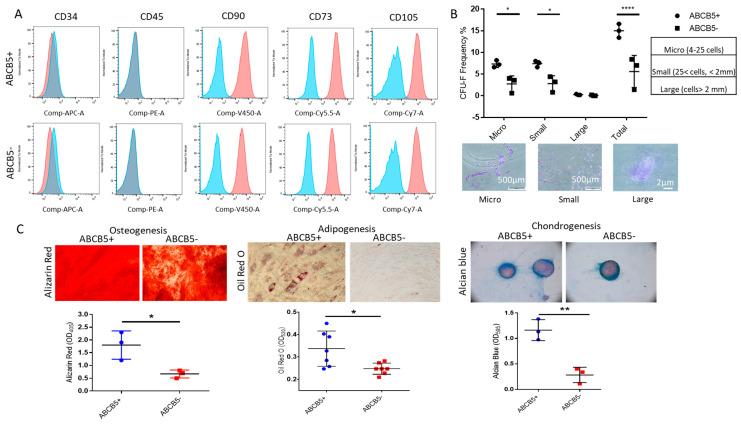 https://cdn.ncbi.nlm.nih.gov/pmc/blobs/972c/11395824/15bf6792c691/ijms-25-09702-g003.jpg