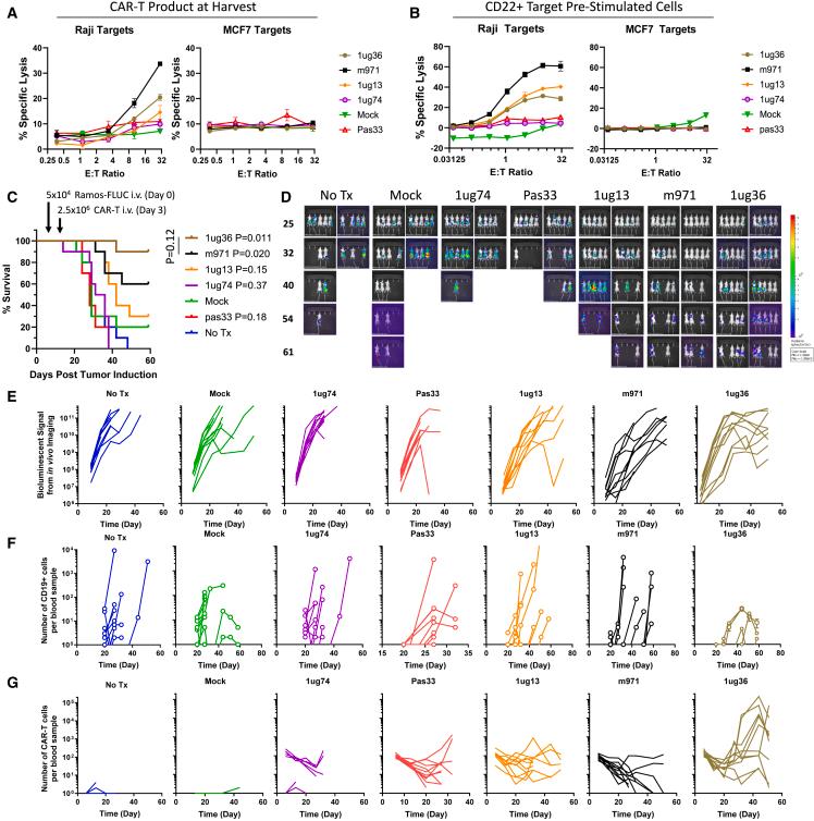 https://cdn.ncbi.nlm.nih.gov/pmc/blobs/9730/10914482/0849bbcf4223/gr4.jpg