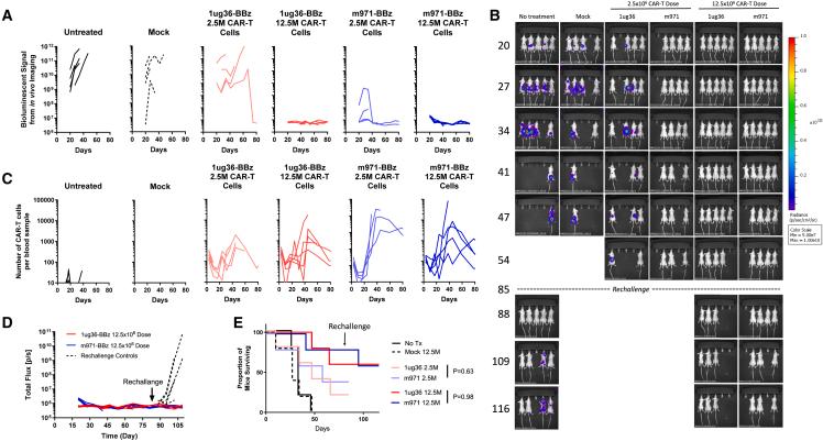 https://cdn.ncbi.nlm.nih.gov/pmc/blobs/9730/10914482/e4510b6bf35d/gr6.jpg