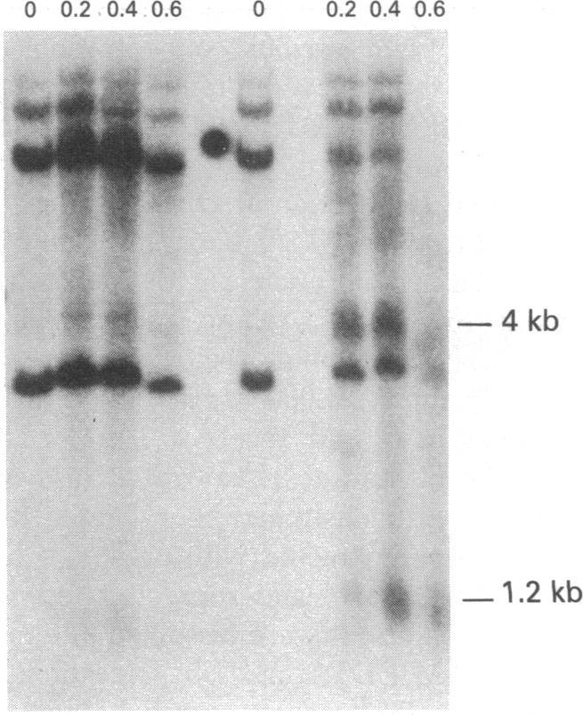 https://cdn.ncbi.nlm.nih.gov/pmc/blobs/9731/345925/428d5988a46d/pnas00443-0249-a.jpg