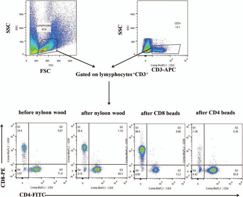 https://cdn.ncbi.nlm.nih.gov/pmc/blobs/9732/6964953/165b7574a14f/cm9-132-2934-g001.jpg