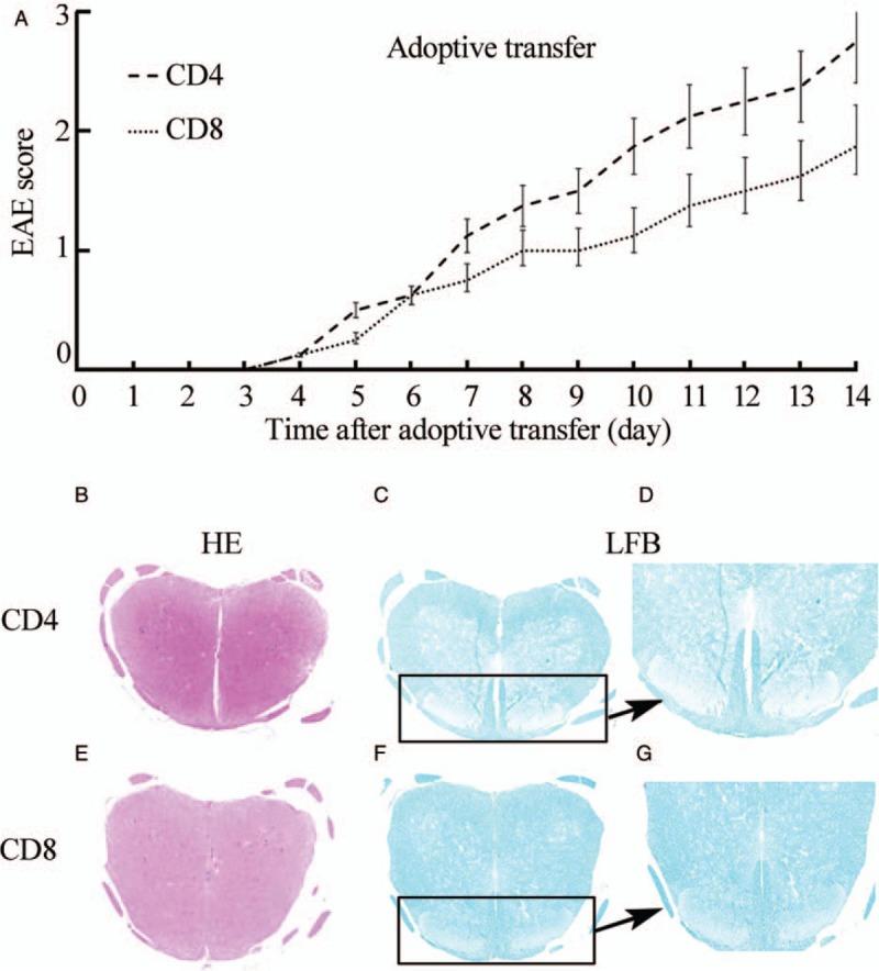 https://cdn.ncbi.nlm.nih.gov/pmc/blobs/9732/6964953/afece3d4396e/cm9-132-2934-g004.jpg