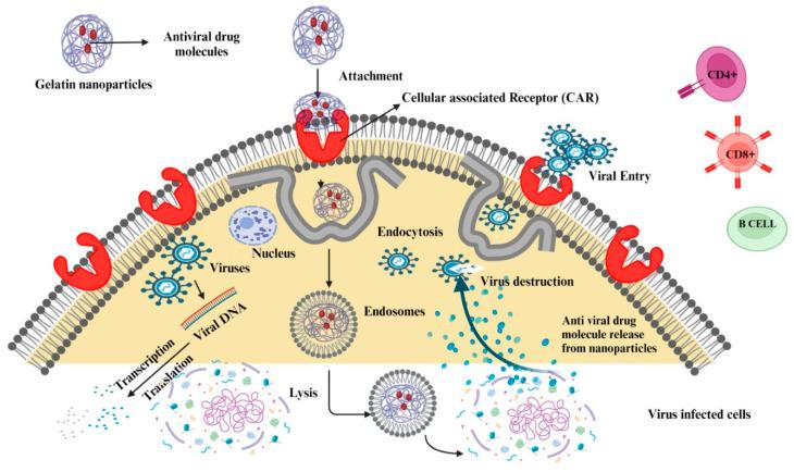 https://cdn.ncbi.nlm.nih.gov/pmc/blobs/9733/10648051/290769d8ee05/polymers-15-04327-g007.jpg