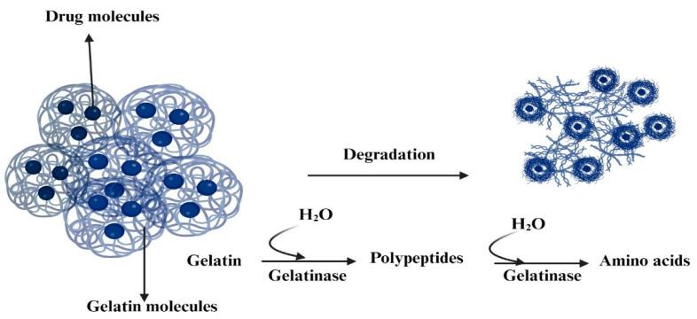 https://cdn.ncbi.nlm.nih.gov/pmc/blobs/9733/10648051/36b7979b4a38/polymers-15-04327-g002.jpg
