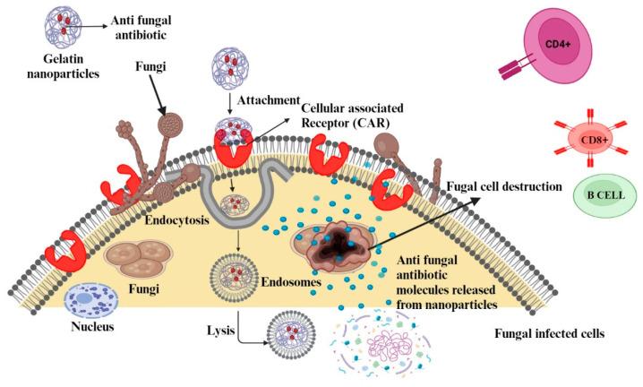 https://cdn.ncbi.nlm.nih.gov/pmc/blobs/9733/10648051/a57718f3e84b/polymers-15-04327-g008.jpg