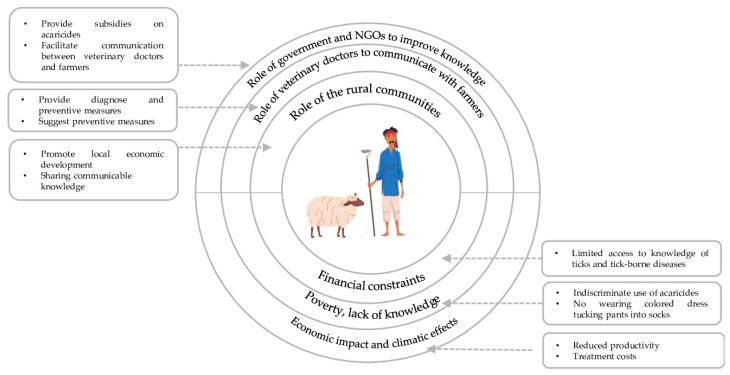 https://cdn.ncbi.nlm.nih.gov/pmc/blobs/9736/11512219/c3aa0070af10/vetsci-11-00497-g007.jpg