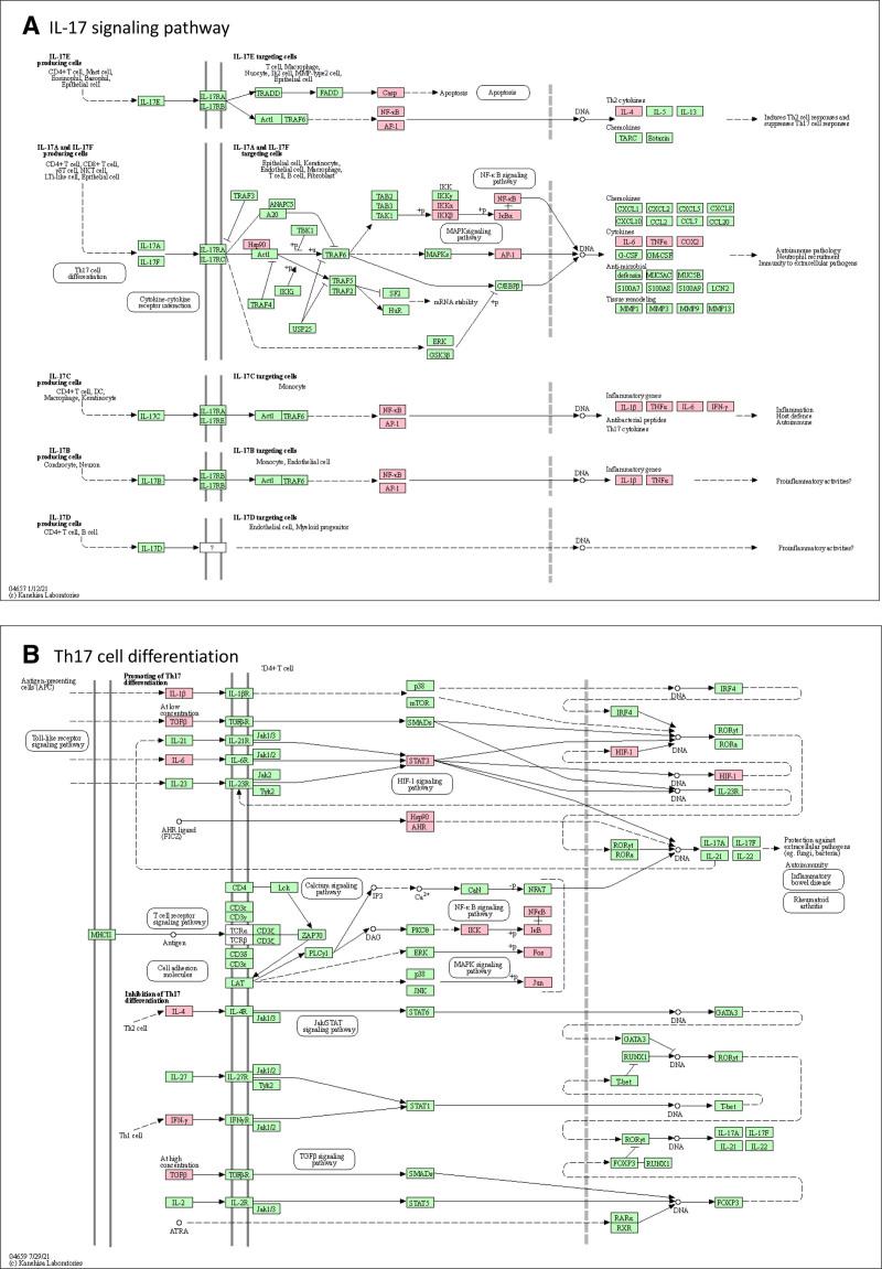 https://cdn.ncbi.nlm.nih.gov/pmc/blobs/9736/11651441/830e344951c7/medi-103-e40929-g011.jpg
