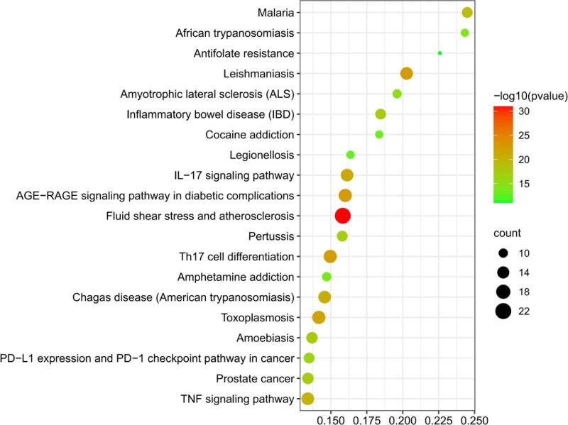 https://cdn.ncbi.nlm.nih.gov/pmc/blobs/9736/11651441/a6193d9978f4/medi-103-e40929-g008.jpg