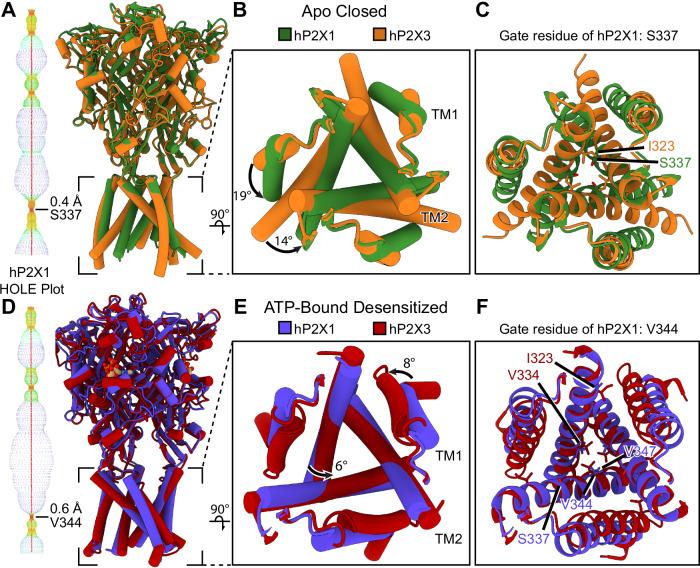 https://cdn.ncbi.nlm.nih.gov/pmc/blobs/9739/11448502/40391db3659c/41467_2024_52636_Fig3_HTML.jpg