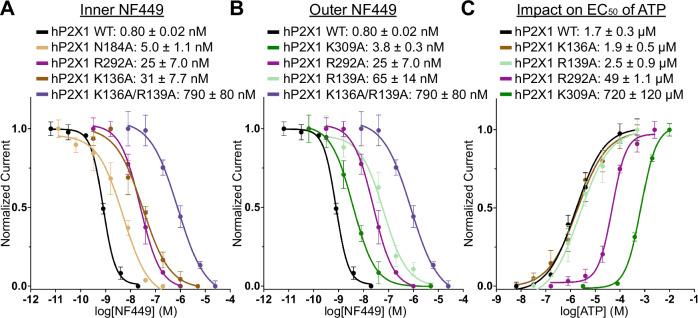 https://cdn.ncbi.nlm.nih.gov/pmc/blobs/9739/11448502/b0a85b8ee9da/41467_2024_52636_Fig6_HTML.jpg