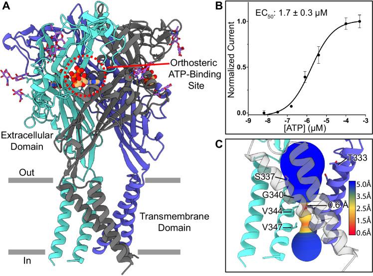 https://cdn.ncbi.nlm.nih.gov/pmc/blobs/9739/11448502/d138c7683969/41467_2024_52636_Fig2_HTML.jpg