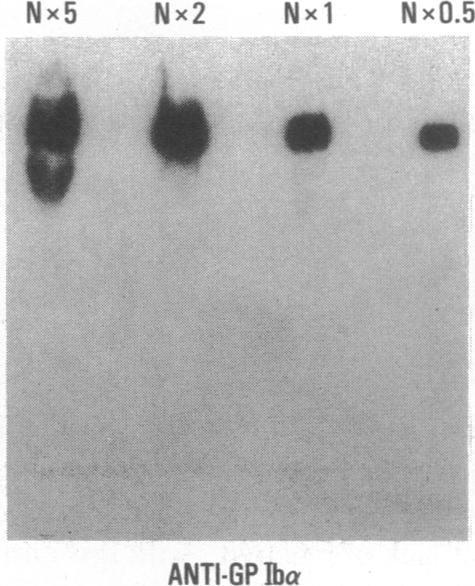 https://cdn.ncbi.nlm.nih.gov/pmc/blobs/973a/296685/a2dbcab11f74/jcinvest00073-0037-b.jpg