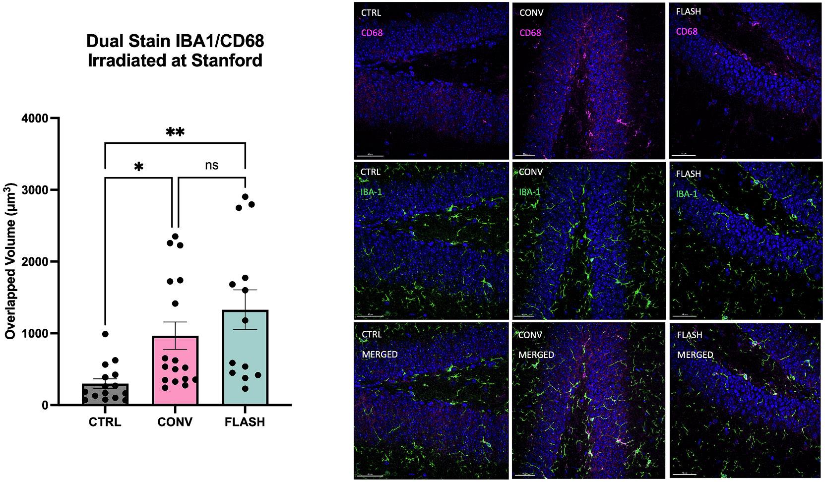 https://cdn.ncbi.nlm.nih.gov/pmc/blobs/973b/11588524/493e253be03c/nihms-2035648-f0004.jpg