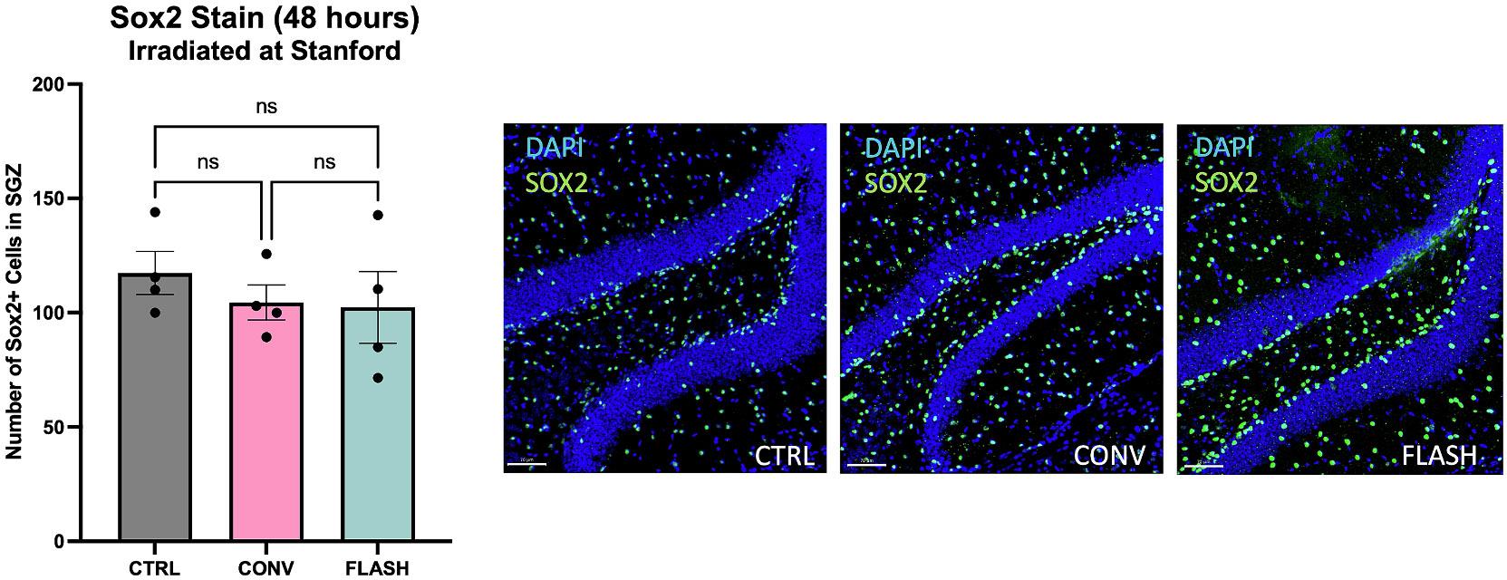 https://cdn.ncbi.nlm.nih.gov/pmc/blobs/973b/11588524/a7c4bacd5b4b/nihms-2035648-f0005.jpg