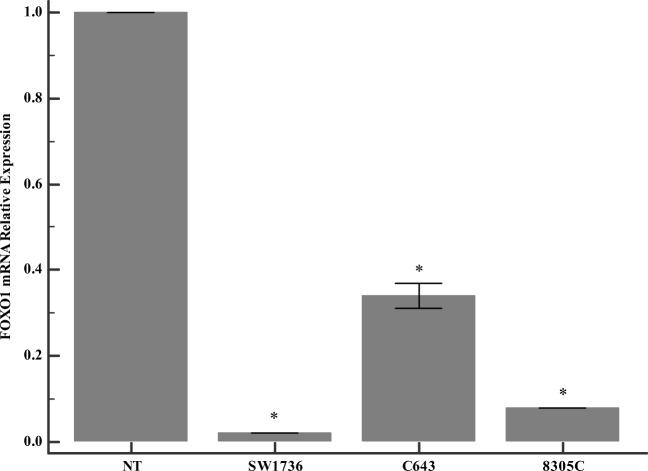 https://cdn.ncbi.nlm.nih.gov/pmc/blobs/973c/6279666/f78fabb38f81/40199_2018_208_Fig5_HTML.jpg
