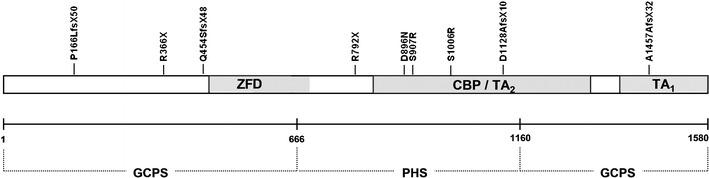 https://cdn.ncbi.nlm.nih.gov/pmc/blobs/973d/3477483/da6789fd9dd8/13353_2012_109_Fig2_HTML.jpg