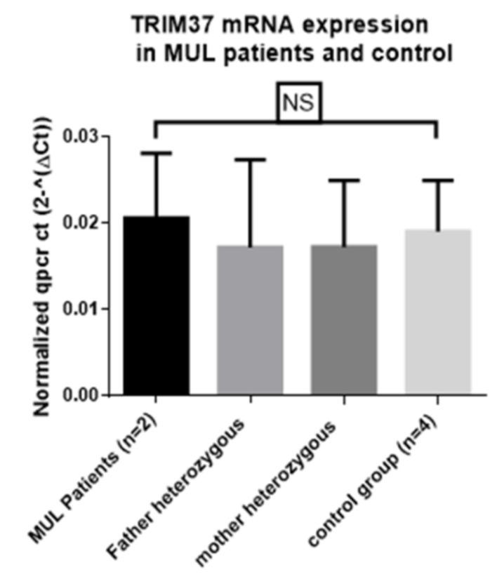 https://cdn.ncbi.nlm.nih.gov/pmc/blobs/973d/6337287/e240aa282bfc/ijms-20-00067-g004.jpg