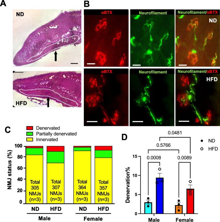 https://cdn.ncbi.nlm.nih.gov/pmc/blobs/973e/12345120/1140d2818561/13395_2025_389_Fig2_HTML.jpg