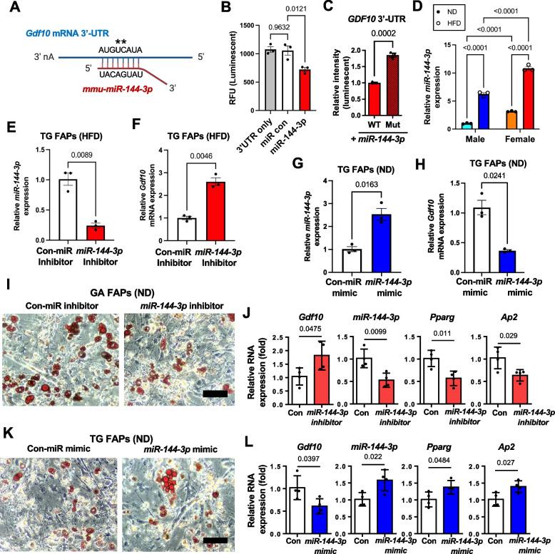 https://cdn.ncbi.nlm.nih.gov/pmc/blobs/973e/12345120/5fdcc8fbdb5e/13395_2025_389_Fig5_HTML.jpg