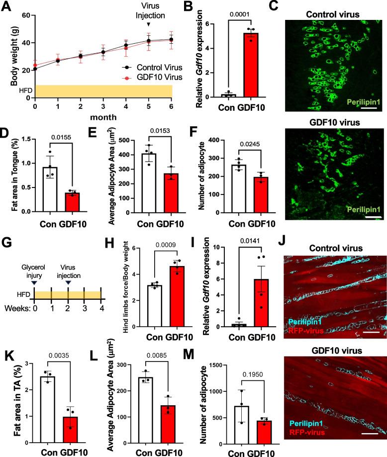 https://cdn.ncbi.nlm.nih.gov/pmc/blobs/973e/12345120/a06d54cc9854/13395_2025_389_Fig6_HTML.jpg