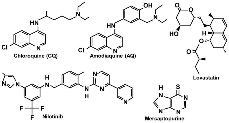 https://cdn.ncbi.nlm.nih.gov/pmc/blobs/9740/12263127/4d52e5974613/KTRN_A_2521766_F0011_B.jpg