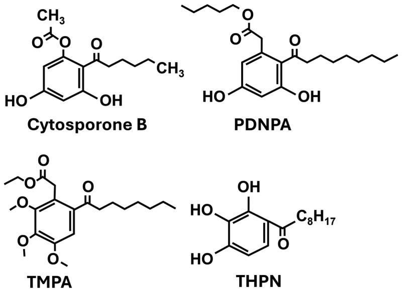 https://cdn.ncbi.nlm.nih.gov/pmc/blobs/9740/12263127/701d120c5def/KTRN_A_2521766_F0008_B.jpg