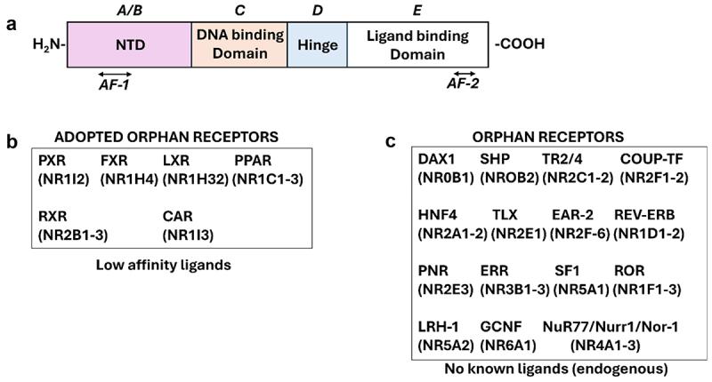 https://cdn.ncbi.nlm.nih.gov/pmc/blobs/9740/12263127/759ce77b0c5f/KTRN_A_2521766_F0001_OC.jpg