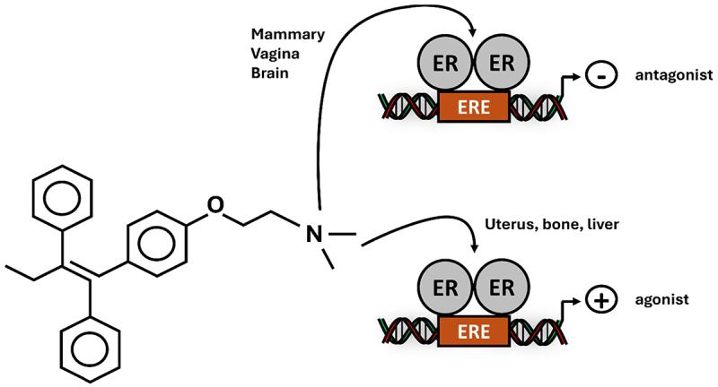 https://cdn.ncbi.nlm.nih.gov/pmc/blobs/9740/12263127/8a9f72483868/KTRN_A_2521766_F0003_OC.jpg