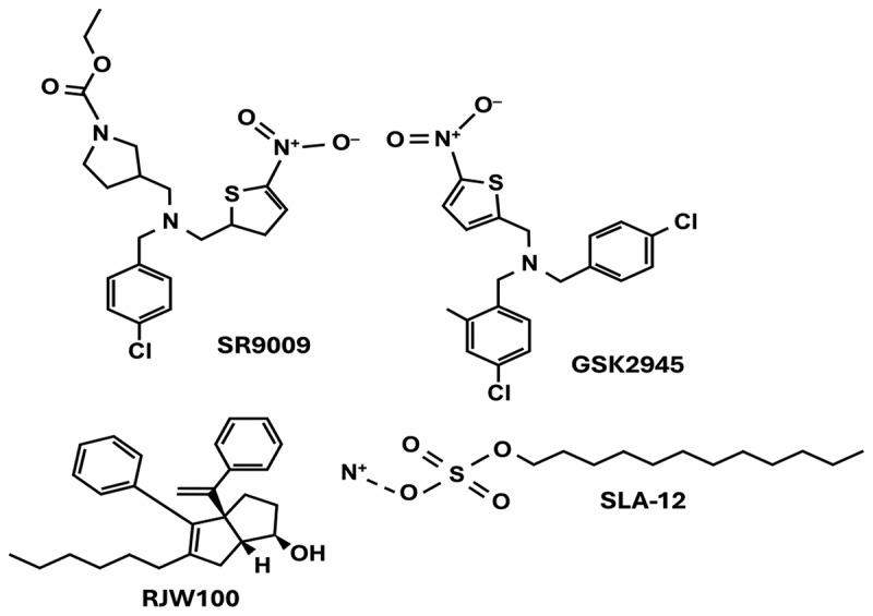 https://cdn.ncbi.nlm.nih.gov/pmc/blobs/9740/12263127/8e2e311d6776/KTRN_A_2521766_F0007_B.jpg