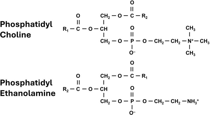 https://cdn.ncbi.nlm.nih.gov/pmc/blobs/9740/12263127/f62d604c351c/KTRN_A_2521766_F0006_B.jpg