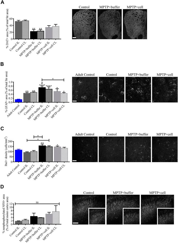 https://cdn.ncbi.nlm.nih.gov/pmc/blobs/9740/8807563/18a833d7f715/fphar-12-773925-g006.jpg
