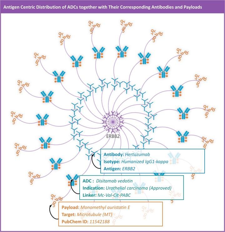https://cdn.ncbi.nlm.nih.gov/pmc/blobs/9741/10768060/27f1ca415754/gkad831fig6.jpg