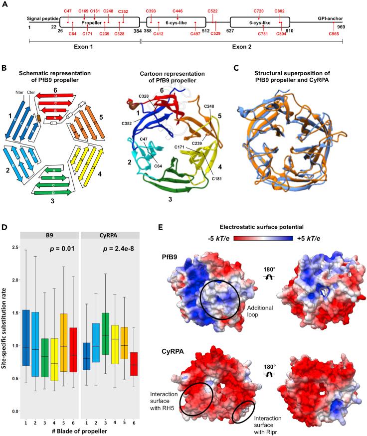 https://cdn.ncbi.nlm.nih.gov/pmc/blobs/9742/9906020/33fcd98d10eb/gr4.jpg