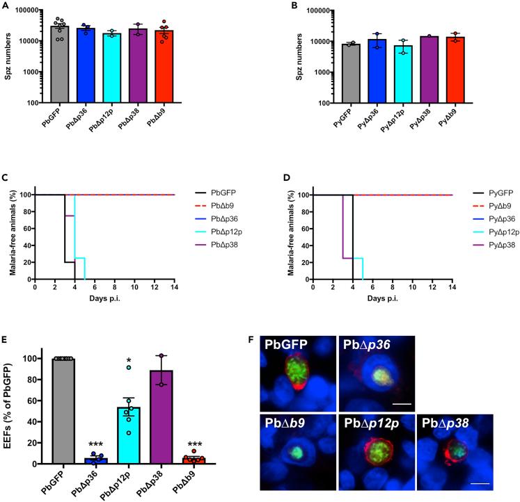 https://cdn.ncbi.nlm.nih.gov/pmc/blobs/9742/9906020/3446a49b4c72/gr1.jpg