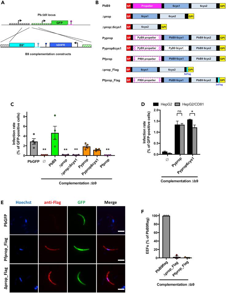 https://cdn.ncbi.nlm.nih.gov/pmc/blobs/9742/9906020/a46122130521/gr5.jpg