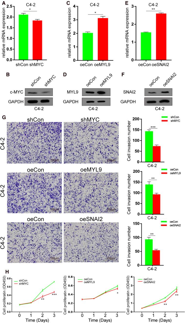 https://cdn.ncbi.nlm.nih.gov/pmc/blobs/9744/9243208/89212108f775/12672_2022_508_Fig10_HTML.jpg