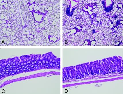 https://cdn.ncbi.nlm.nih.gov/pmc/blobs/9745/3252039/08ed954ae2b2/tox-22-179-g002.jpg
