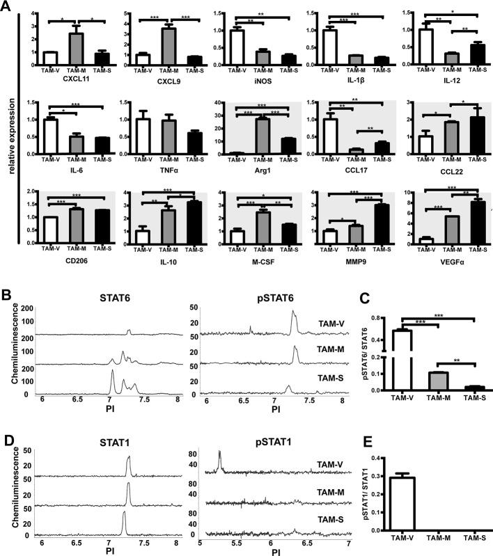https://cdn.ncbi.nlm.nih.gov/pmc/blobs/9745/4811465/c2e4bca0d6d0/oncotarget-07-1354-g003.jpg