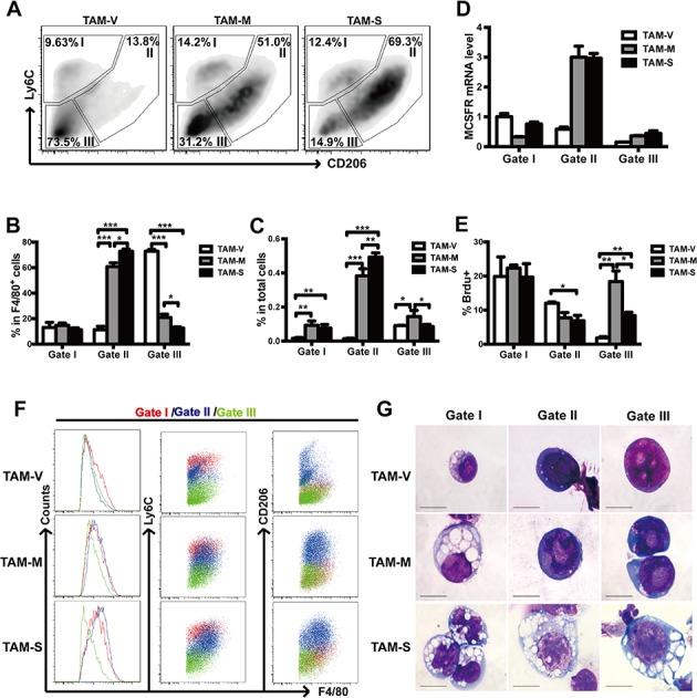 https://cdn.ncbi.nlm.nih.gov/pmc/blobs/9745/4811465/fed589b0cb96/oncotarget-07-1354-g005.jpg