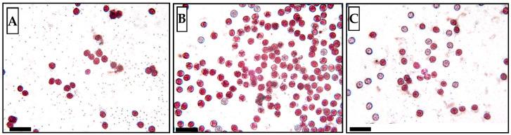 https://cdn.ncbi.nlm.nih.gov/pmc/blobs/9747/11174463/776bd15ff8aa/plants-13-01578-g010.jpg