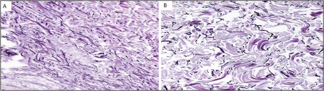https://cdn.ncbi.nlm.nih.gov/pmc/blobs/9747/8423202/74b13bfbdd52/JCAS-14-222-g004.jpg