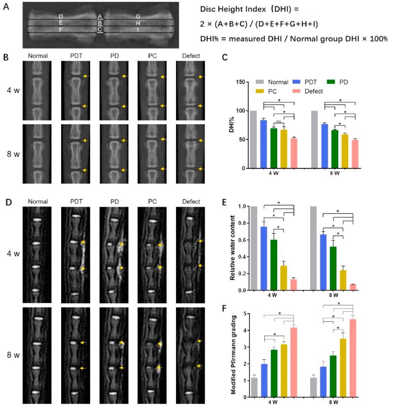 https://cdn.ncbi.nlm.nih.gov/pmc/blobs/974a/9108517/1522938cce65/gr6.jpg